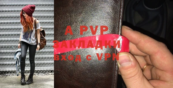 гидра Вяземский