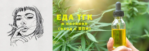 гидра Вяземский
