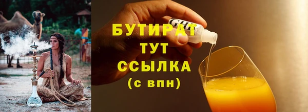 гидра Вяземский