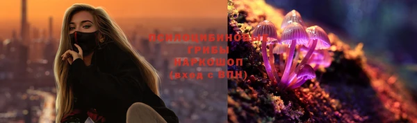 гидра Вяземский