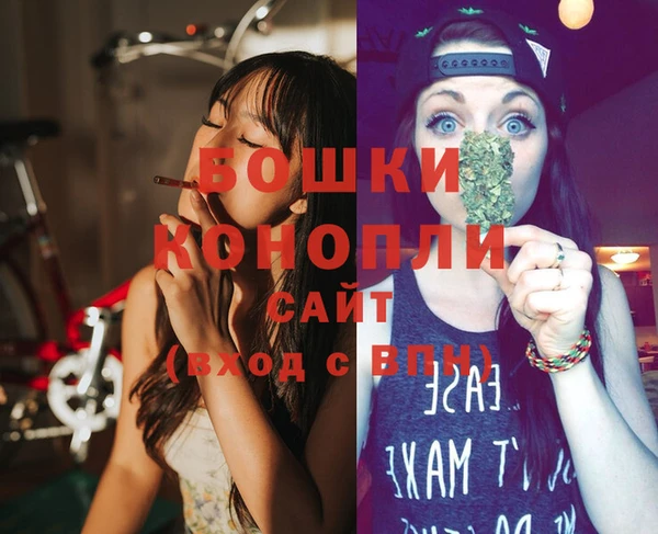 гидра Вяземский