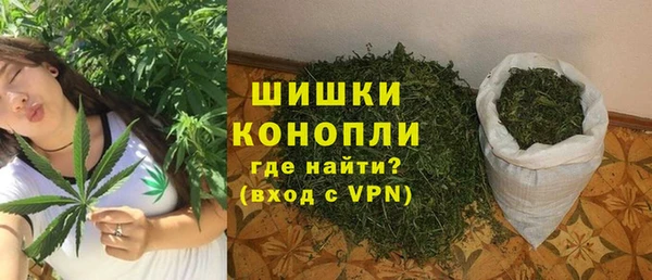 гидра Вяземский