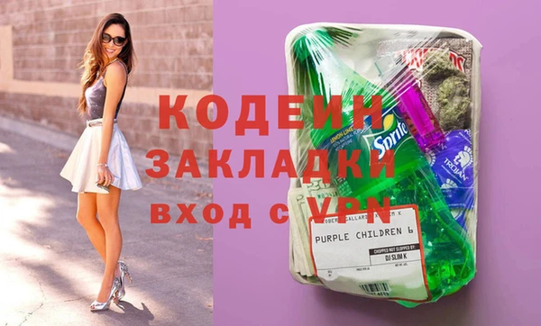 гидра Вяземский