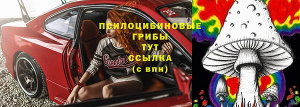 гидра Вяземский
