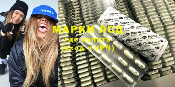 гидра Вяземский