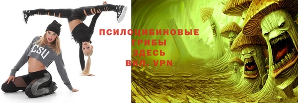 гидра Вяземский