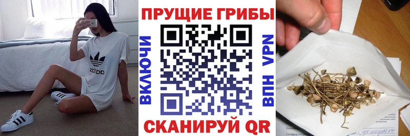 Псилоцибиновые грибы Psilocybe Якутск